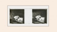 Stereoscopic glass plate - Olympia Project